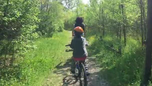Passeggiate Famiglia Bicicletta Nel Parco Estivo — Video Stock
