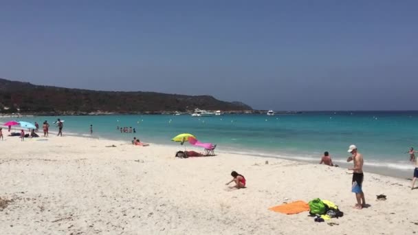 Saint Florent Corsica France July 2016 Lotu Beach Daytime — Stock video