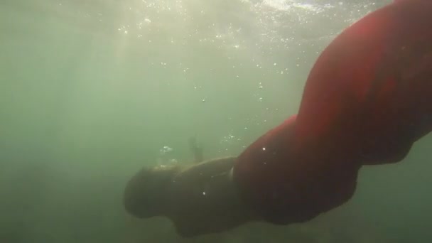 Underwater Woman Footage Wearing Pink Bikini Swimming Pool — Vídeo de Stock