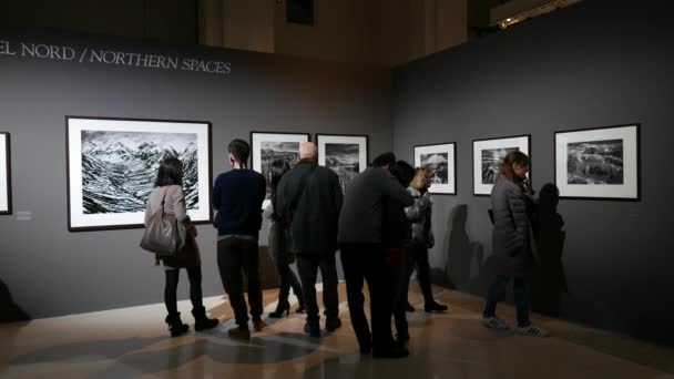 Παρισι Γαλλια Νοεμβριου 2016 Επισκέπτες Μέσα Στο Paris Photo Expo — Αρχείο Βίντεο