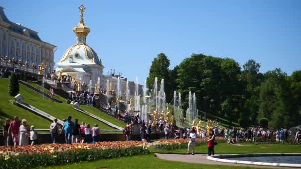 Saint Petersburg Russia May 2018 Μεγάλος Καταρράκτης Του Peterhof Παλάτι — Αρχείο Βίντεο