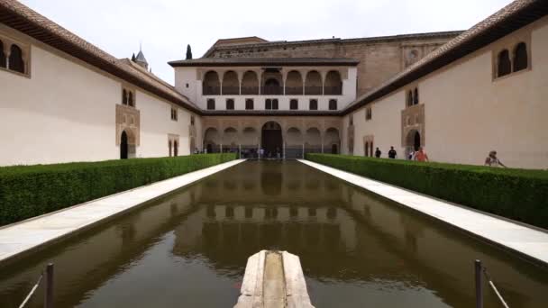 Granada Ισπανια Ιούνιος 2018 Alhambra Palace Patio Arrayanes Θέα Βρύση — Αρχείο Βίντεο