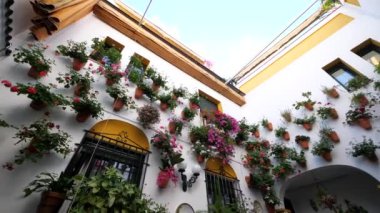 Cordoba, İspanya'da çiçeklerle dolu güzel veranda.