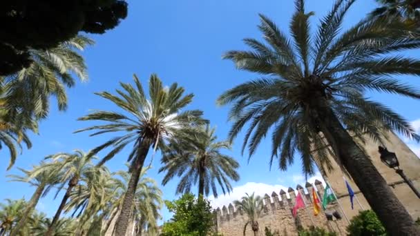 Palácová Pevnost Křesťanských Králů Cordoba Andalucia Španělsko Západní Evropa — Stock video