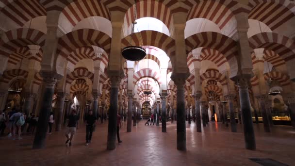 Cordoba Spain June 2018 游客参观科多巴清真寺 主教座堂 这是一座天主教和伊斯兰教相遇的独特建筑 — 图库视频影像