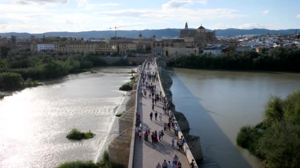 Lidé Chodí Římském Mostě Mezquitskou Katedrálou Pozadí Cordoba Andalusie Španělsko — Stock video