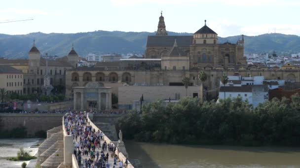 Pessoas Caminhando Ponte Romana Com Catedral Mezquita Fundo Córdoba Andaluzia — Vídeo de Stock