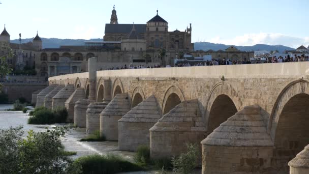 Pessoas Caminhando Ponte Romana Com Catedral Mezquita Fundo Córdoba Andaluzia — Vídeo de Stock