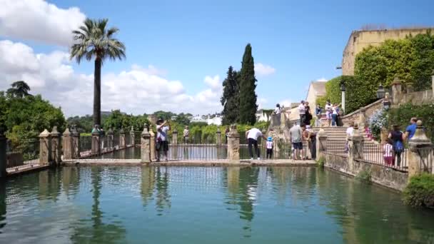 Cordoba Espagne Juin 2018 Les Célèbres Jardins Alcazar Cordoue Espagne — Video