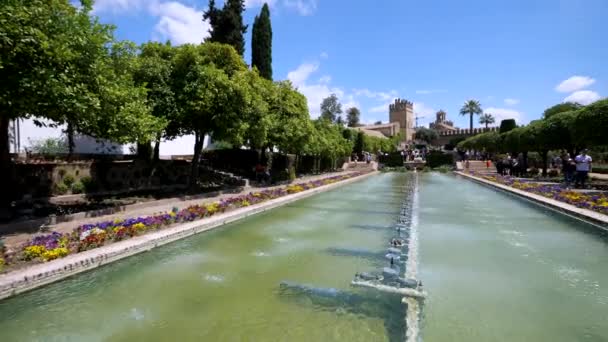 Κόρδοβα Ισπανία Ιούνιος 2018 Διάσημοι Κήποι Αλκαζάρ Στην Κόρδοβα Ισπανία — Αρχείο Βίντεο