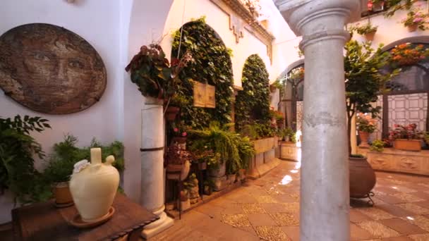 Cordoba Spain June 2018 Beautiful Patio Full Flowers Interior View — Video Stock