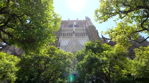 Katedra Sewilli Andalucía Hiszpania — Wideo stockowe