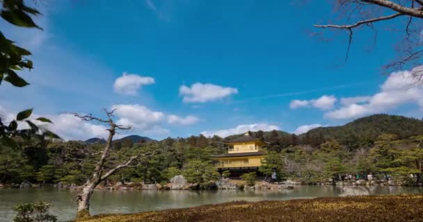 Time Lapse Panoramic View Kinkaku Temple Also Called Golden Pavilion — Wideo stockowe