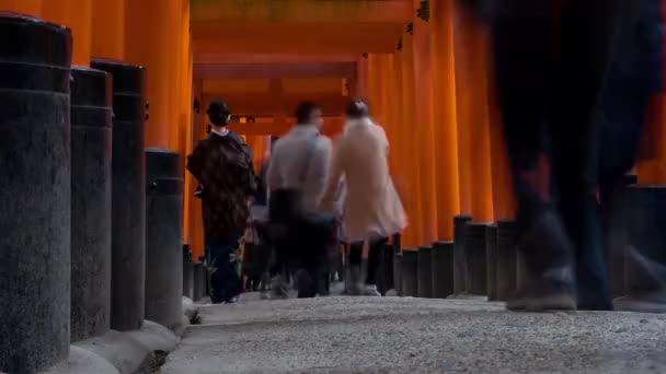 Circa 2017年3月伏見稲荷神社や大社の中を歩く人 朱色の鳥居で有名な日本の記念碑 経過時間 — ストック動画