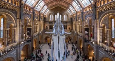 LONDON - CIRCA JANUARY, 2018: Yeni balina iskeleti ile Doğal Tarih Müzesi 'nin iç görünümü. Müze koleksiyonları dünyanın her yerinden yaklaşık 70 milyon numuneden oluşuyor. Zaman aşımı.