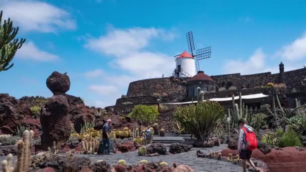Lanzarote Espagne Circa Juin 2017 Jardin Tropical Cactus Dans Village — Video