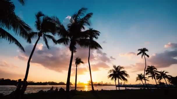 Siluetas Personas Palmas Que Mueven Orilla Del Mar Atardecer — Vídeo de stock