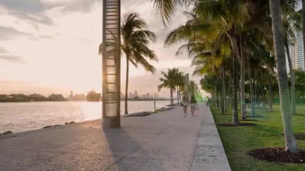 Miami Beach Abd Mart 2016 Zaman Geçişi Nsanlar Gün Batımında — Stok video