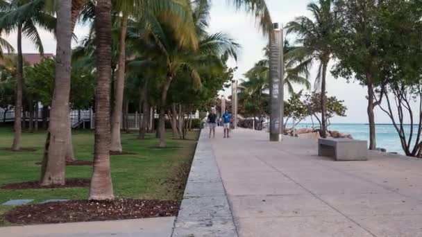 Miami Beach Usa March 2016 Time Lapse Άνθρωποι Χαλαρώνουν Περπατάνε — Αρχείο Βίντεο