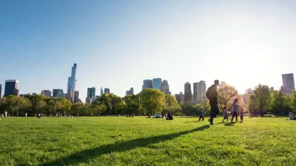 New York City Mai 2015 Menschen Genießen Outdoor Aktivitäten Central — Stockvideo