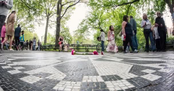 ニューヨーク市 2015年5月7日 セントラルパークで屋外活動を楽しむ人々 公園は毎年3500万人の訪問者を持つ米国で最も訪問された都市公園です — ストック動画