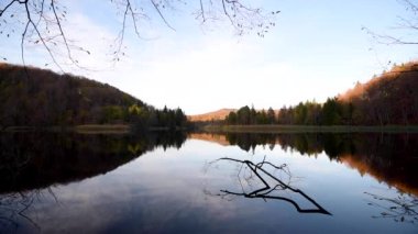 hareketli su ve gökyüzü ile ağaçları yansıtan göl