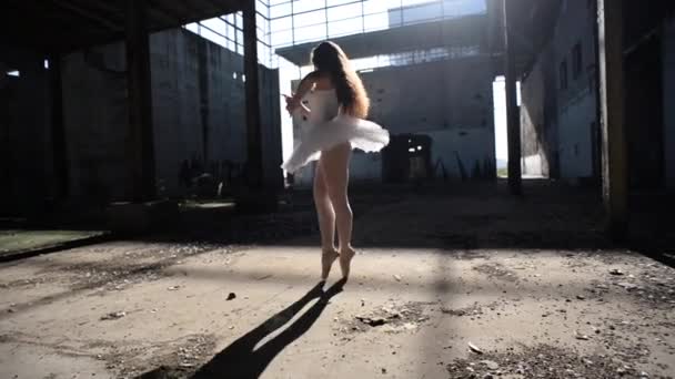 年轻美丽的芭蕾舞演员跳舞 Ballerina项目 — 图库视频影像