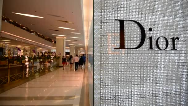 Bangkok Tailandia Noviembre 2015 Tienda Dior Dior Una Empresa Europea — Vídeos de Stock