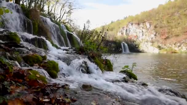 Stromend Water Mossy Rocks Door Rivier Zonlicht — Stockvideo