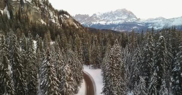 vue aérienne de pins enneigés et route dans un paysage montagneux 