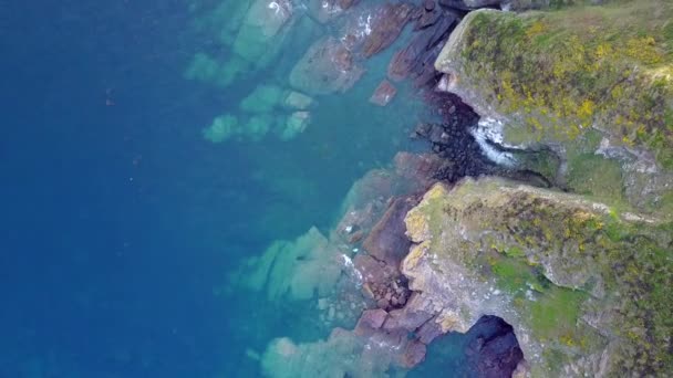 Luftaufnahme Von Grünen Klippen Mit Felsen Meerwasser — Stockvideo