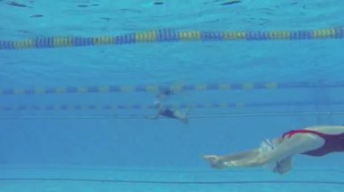 footage of professional woman swimmer diving inside swimming pool.