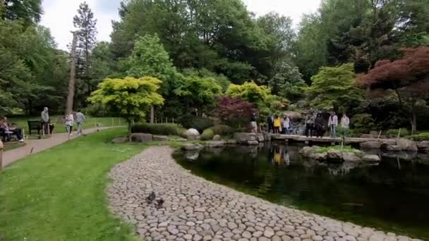 Londres Mayo 2018 Personas Que Visitan Jardín Japonés Kioto Holland — Vídeos de Stock