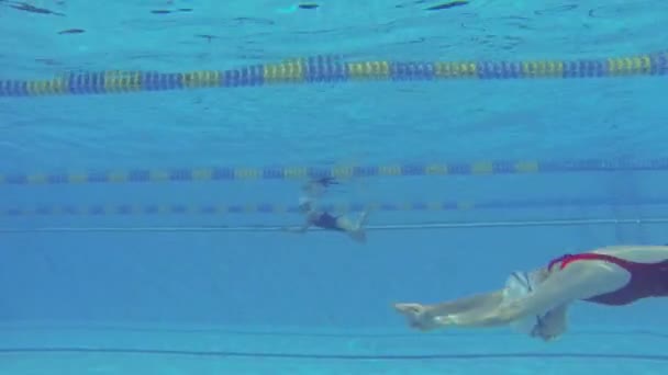 Footage Professional Woman Swimmer Diving Swimming Pool — Stockvideo