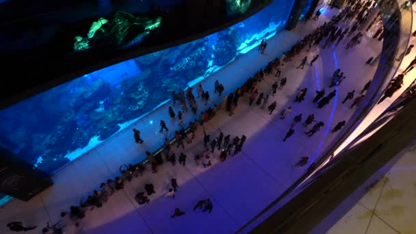 Dubai Octubre 2018 Personas Frente Oceanario Dentro Del Dubai Mall — Vídeos de Stock