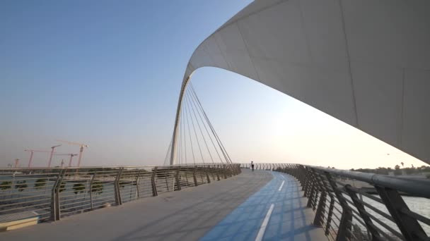 운하에 다리보기 두바이 아랍에미리트 — 비디오