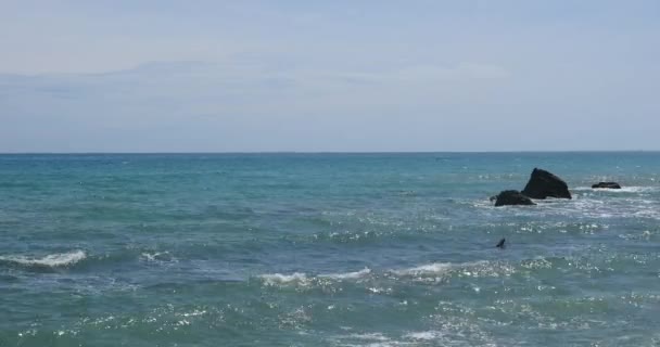 Adriatic Sea Landscape Rock Sunny Day Pedaso Marche Region Italy — Wideo stockowe