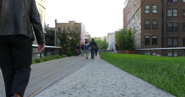 New York City May 2015 People Relaxing High Line Park — Stock Video