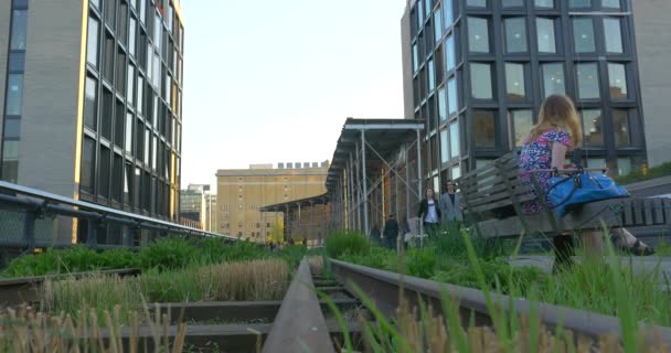 Ludzie chodzą na High Line Park w Nowym Jorku — Wideo stockowe