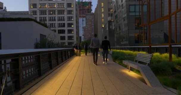 Tanımlanamayan Insanlar Gece High Line Parkı Nda Yürüyorlar New York — Stok video