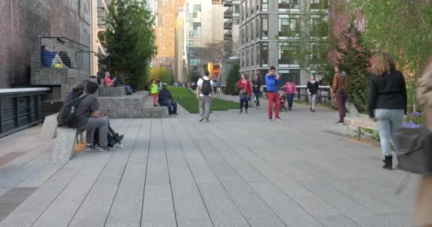 Folk kopplar av på High Line Park i New York — Stockvideo