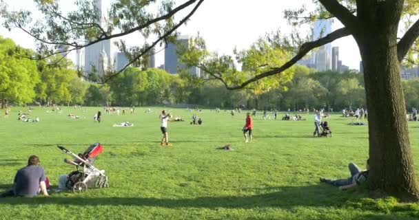 New York City May 2015 People Enjoying Outdoor Activities Central — Stock Video