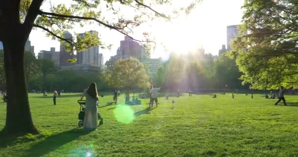 New York City Mayıs 2015 Central Park Açık Hava Aktivitelerini — Stok video