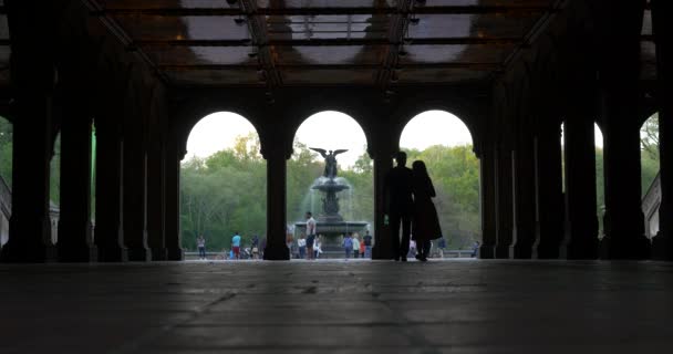 New York City May 2015 People Enjoying Outdoor Activities Central — Stock Video