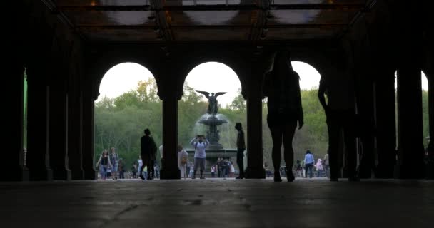 New York City May 2015 People Enjoying Outdoor Activities Central — Stock Video