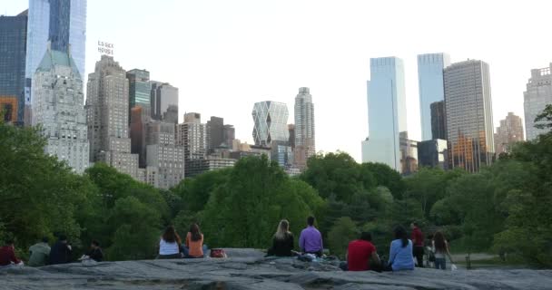 New York City Mai 2015 Menschen Genießen Outdoor Aktivitäten Central — Stockvideo