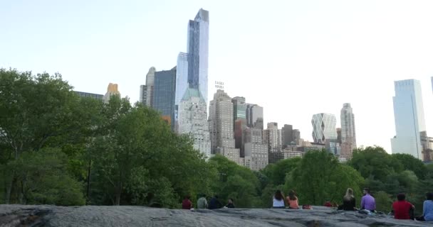 Nova Cidade Iorque Maio 2015 Pessoas Desfrutando Atividades Livre Central — Vídeo de Stock