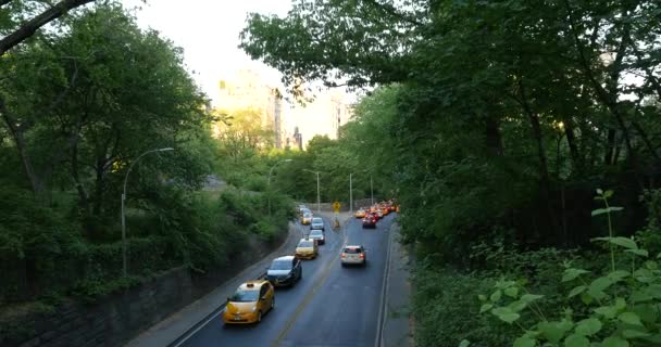 日落时从纽约市中央公园看到的交通景观 该公园是美国游客最多的城市公园 有3500万游客 — 图库视频影像
