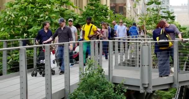 Nova Cidade Iorque Maio 2015 Pessoas Relaxando High Line Park — Vídeo de Stock