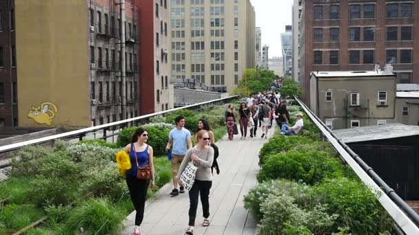 Nova Cidade Iorque Maio 2015 Pessoas Relaxando High Line Park — Vídeo de Stock